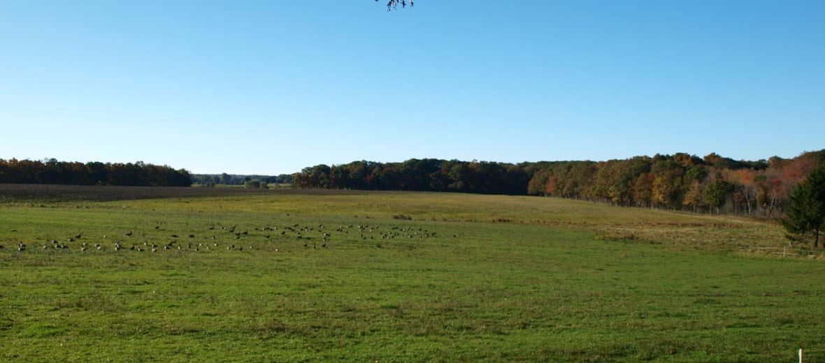 Maplecroft Farm Trail