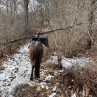 Trail from Upland & Fellows to Gardner & 1A