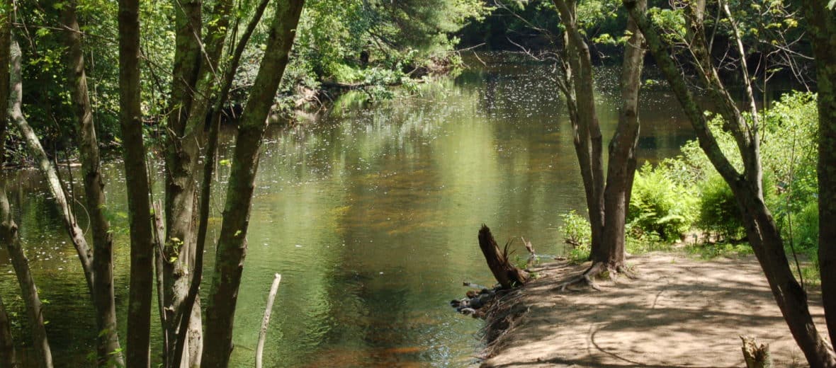 Willowdale Mill Reservation Ipswich River