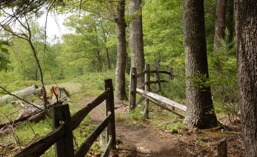 Willowdale Meadow Reservation