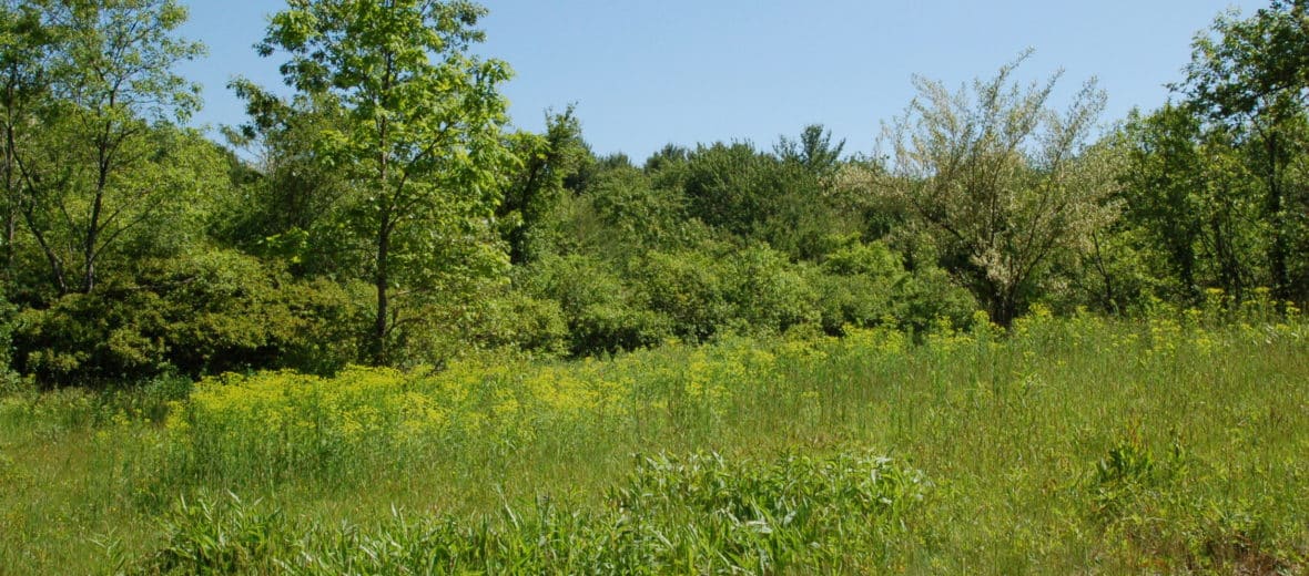 Ordway Reservation Field