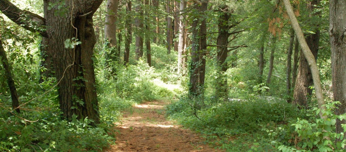 Linebrook Horse Farm