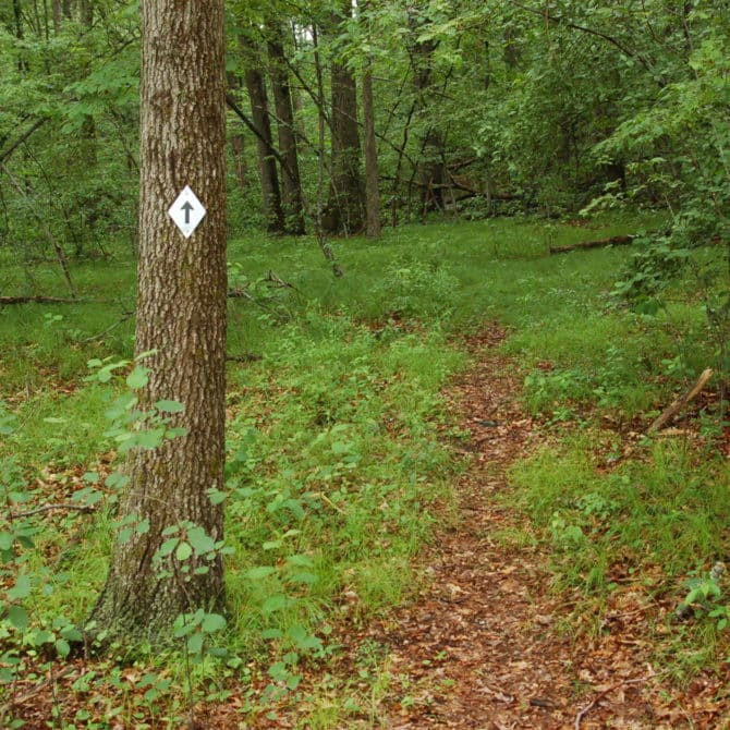 Shady Creek Conservation Area