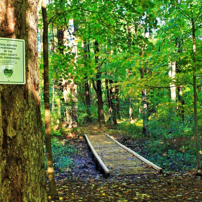 boardwalk trail improvement by ECTA