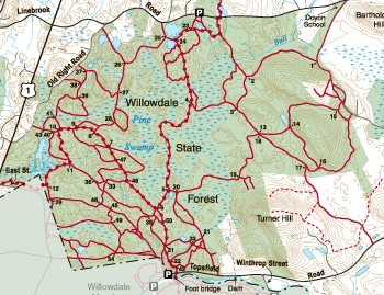 WillowdaleStateForest_East